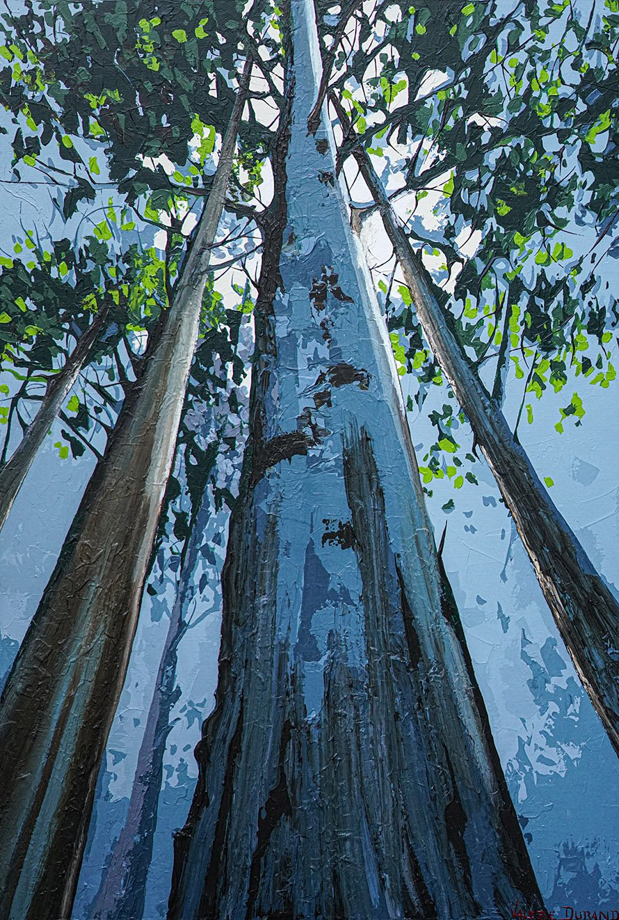 Arbres de la forêt de Fontainebleau vus d'en bas – peinture de Valérie Durand